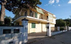 B&B Massico Apartments